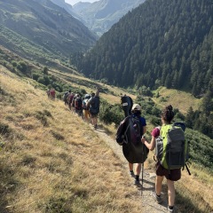 IMG_3110